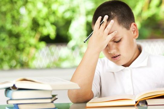 spanish summer day camp